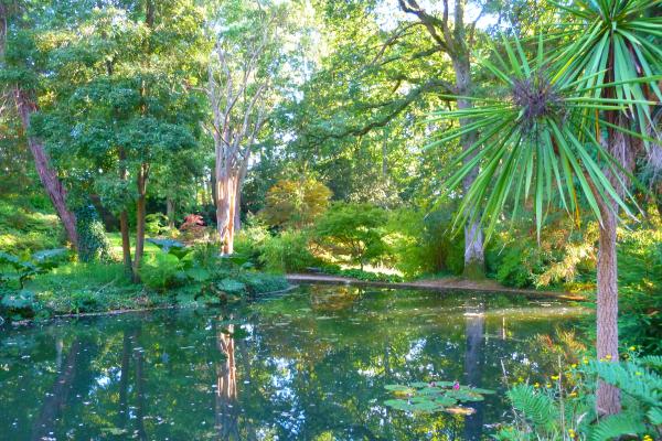 The Green Paradise