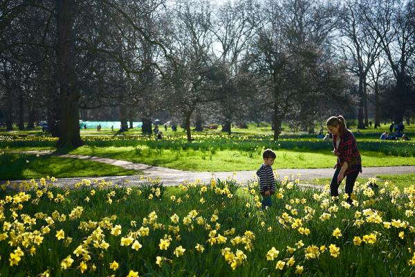 The Green Park, London in the early Spring