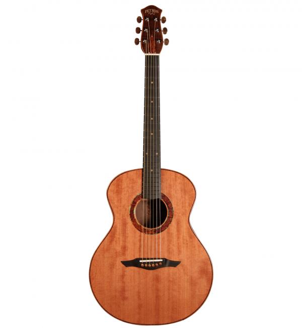 The Guitar