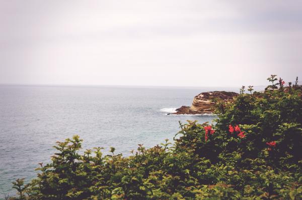 The Island