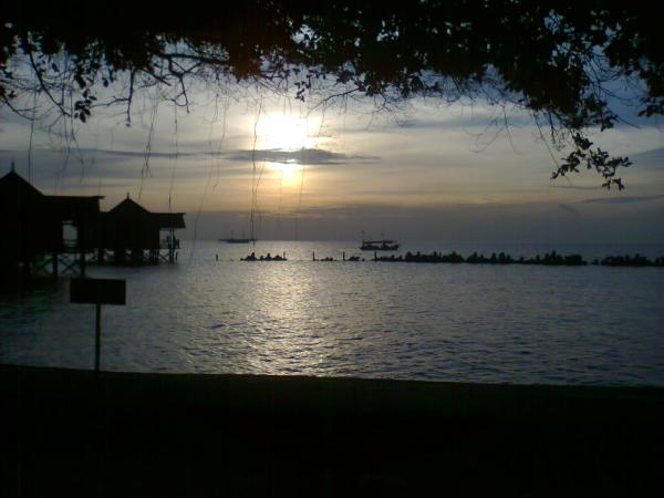 The Island