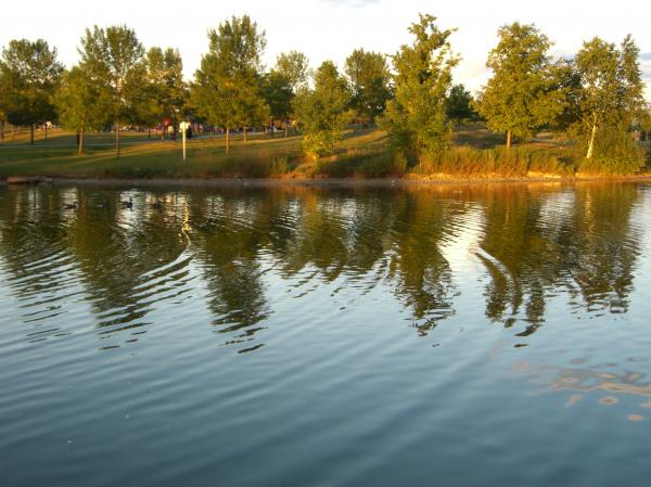 The lake