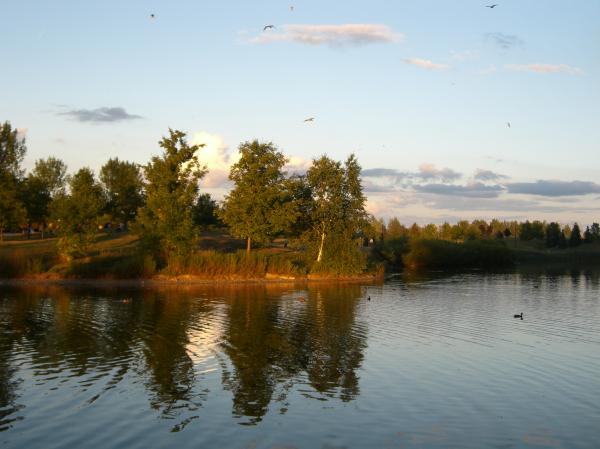 The lake