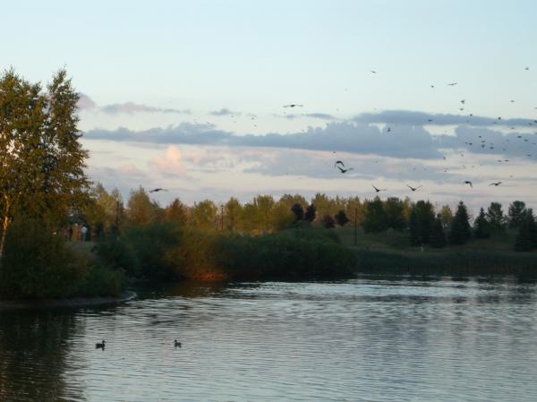 The lake