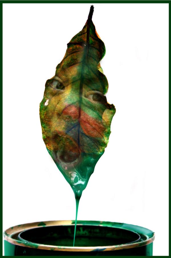 The Leaf