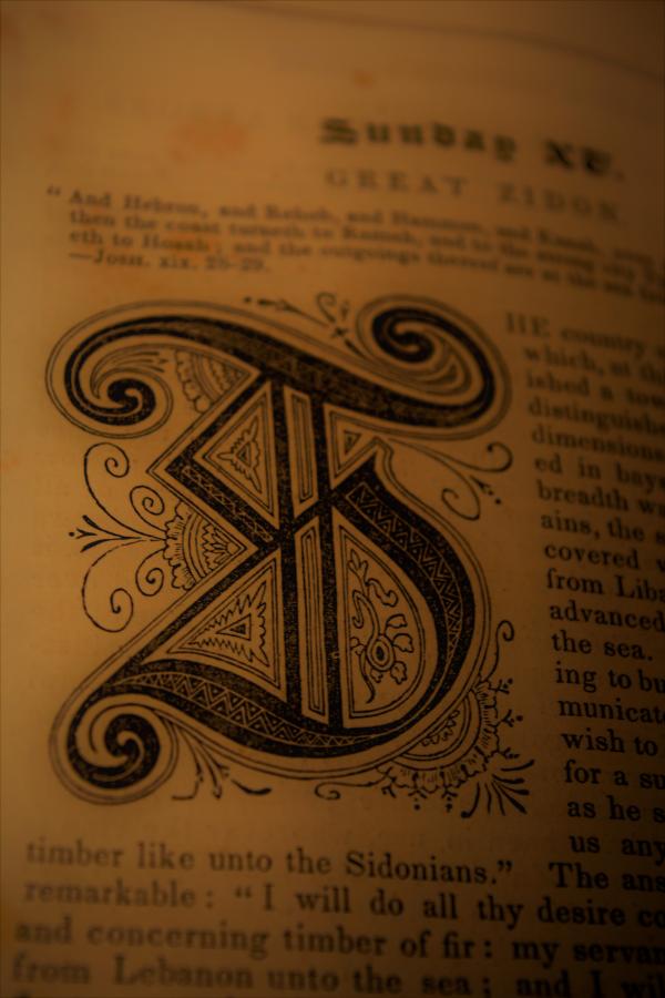 The Letter T