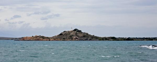 The Light House