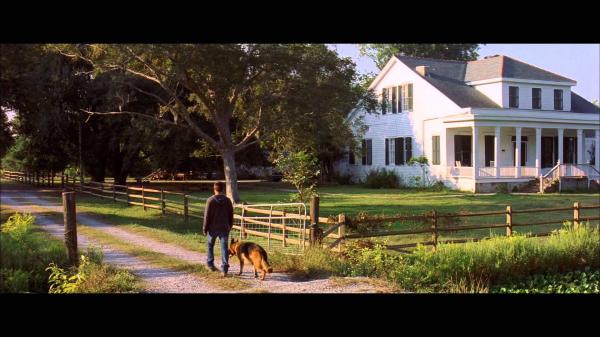 The lucky house