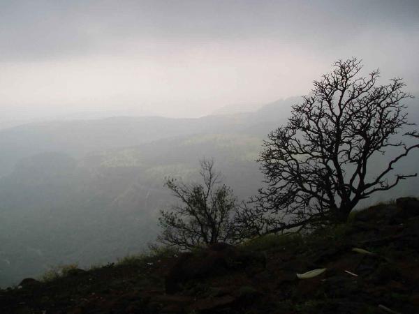 The Mist
