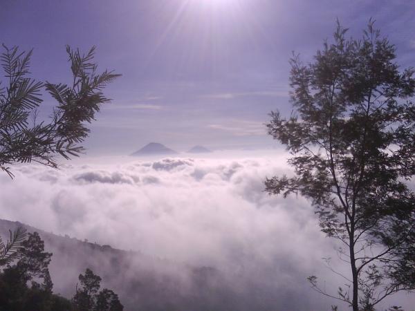 The mist