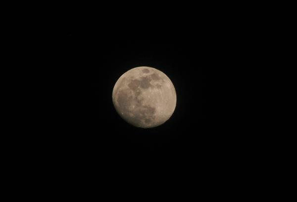 The moon