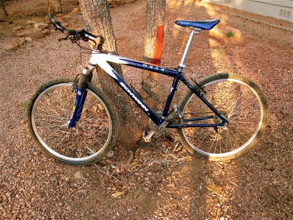 The Old Steed