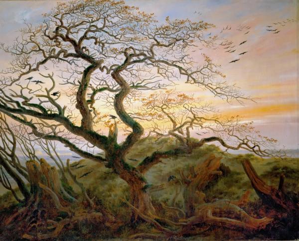 The Raven Tree
