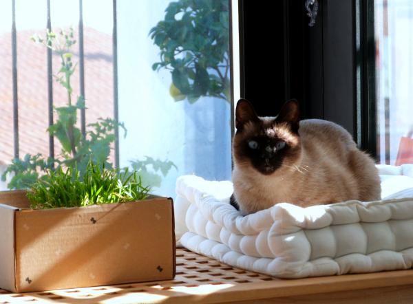 The relaxing spot