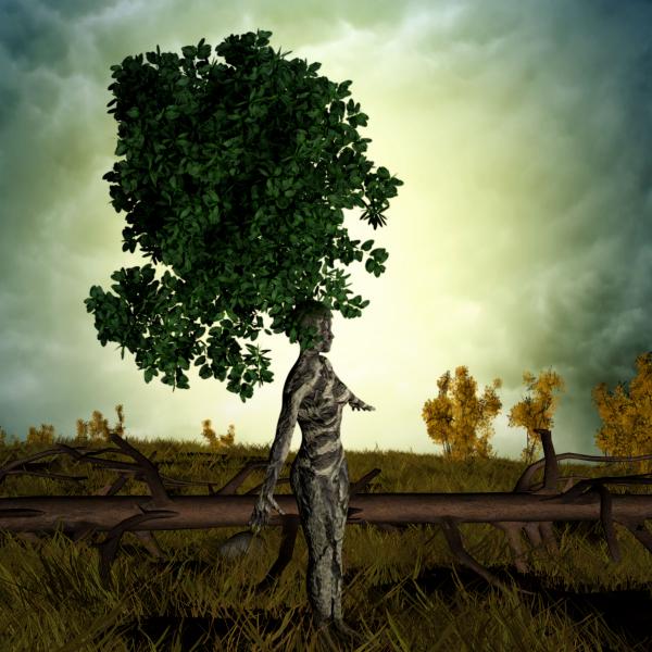 The Soul of Nature