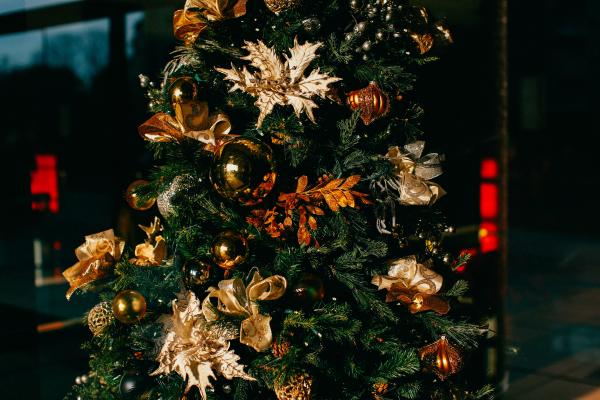 The Tree