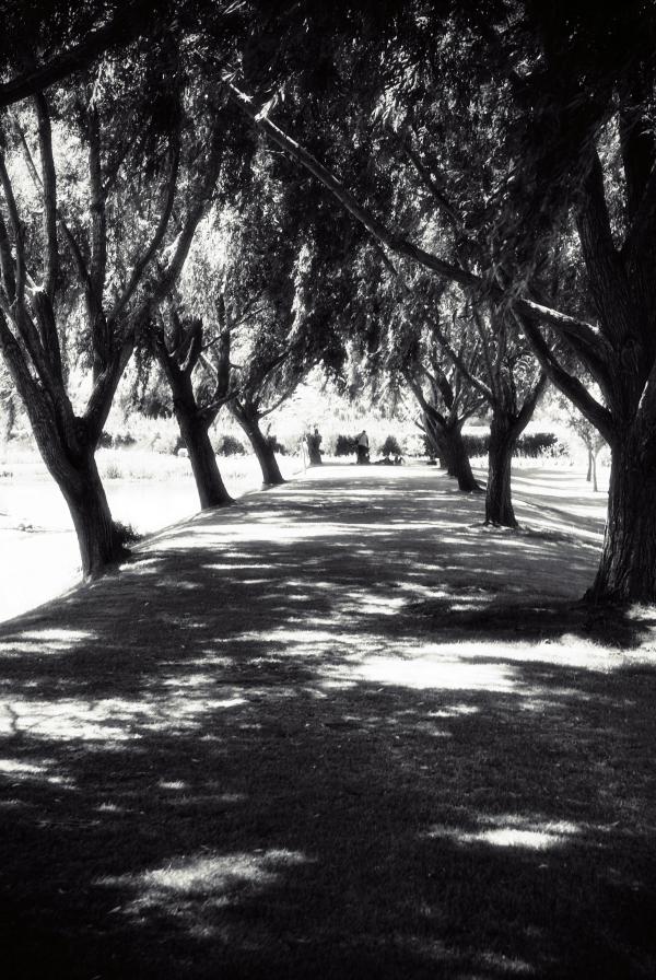 The Walkway