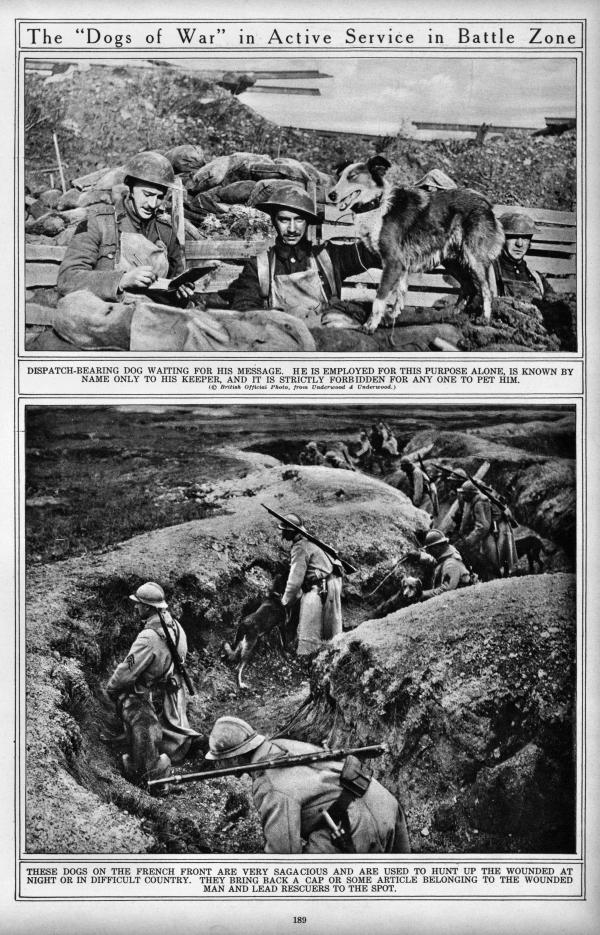 The War of the Nations_WW1_183