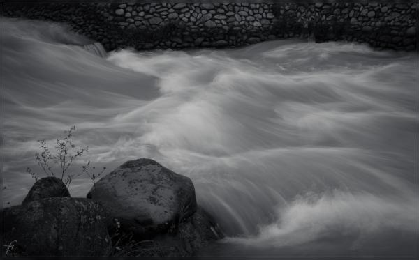 The Waters of Danube River