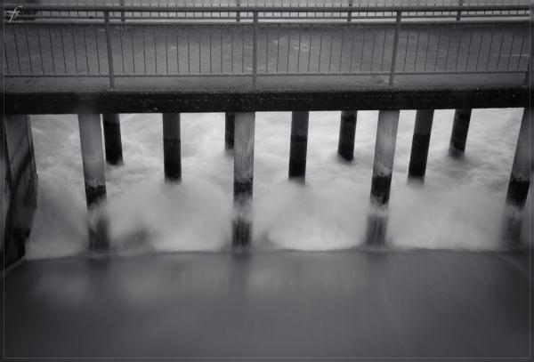 The Waters of Danube River