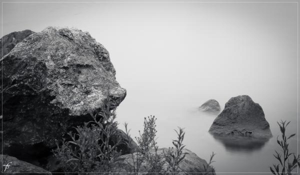 The Waters of Danube River