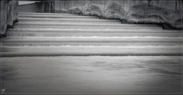 The Waters of Danube River