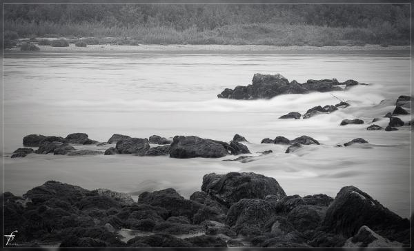 The Waters of Danube River