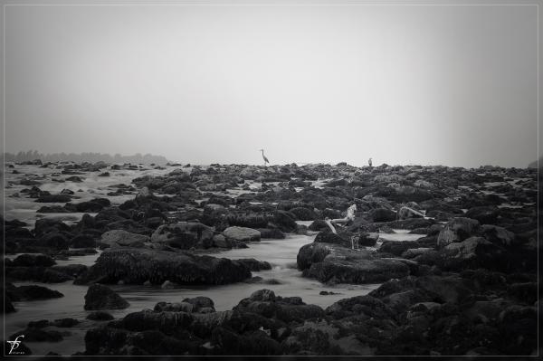 The Waters of Danube River