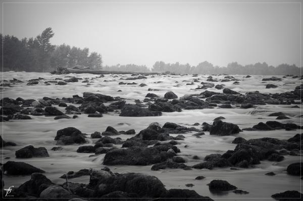 The Waters of Danube River