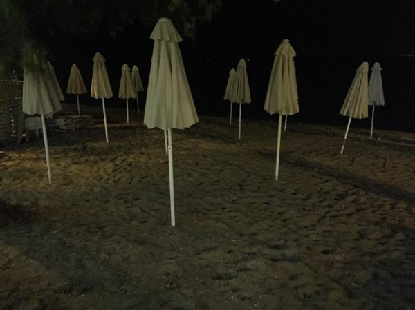 Them Motionless Statues