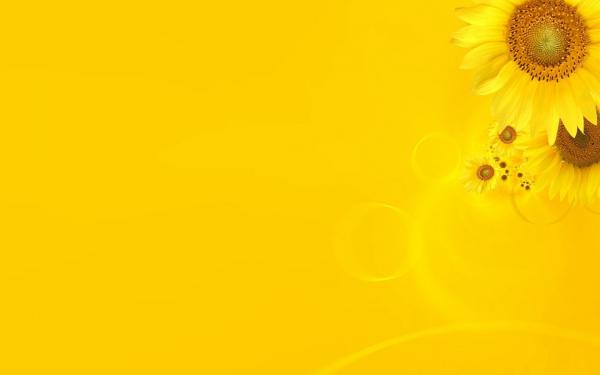 Theme on yellow