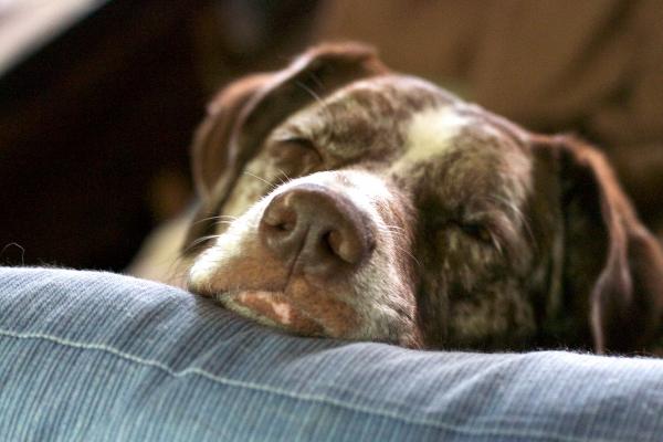 There's No Place Like H---zzzzzzzzz