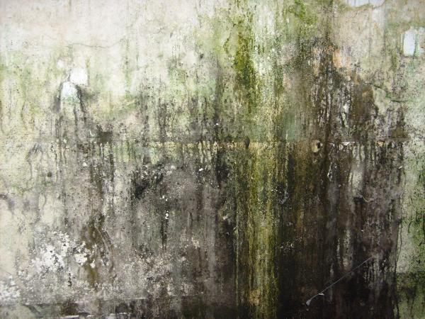This is art - Dirty wall
