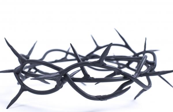 Thorns