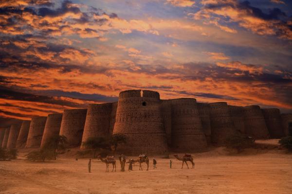 Three Brown Camels Near Building Under Cloudy Sky