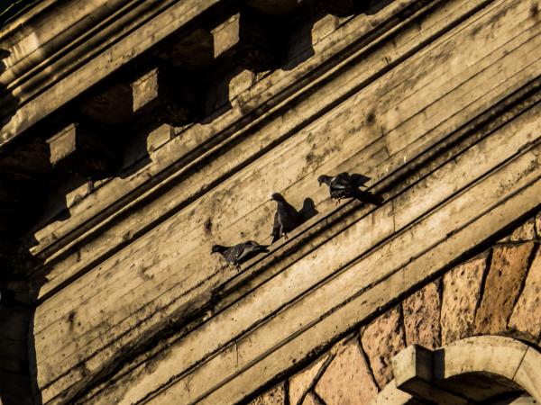 Three friends on the ledge