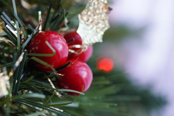 Three Round Red Fruits