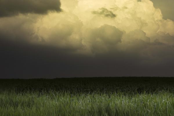 Thunderstorm