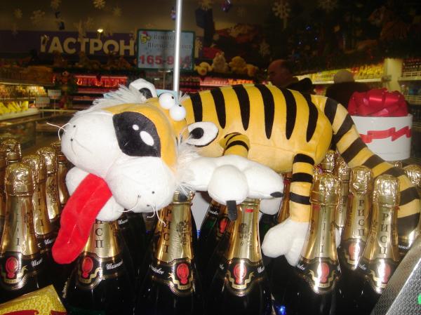 Tiger champaign new year