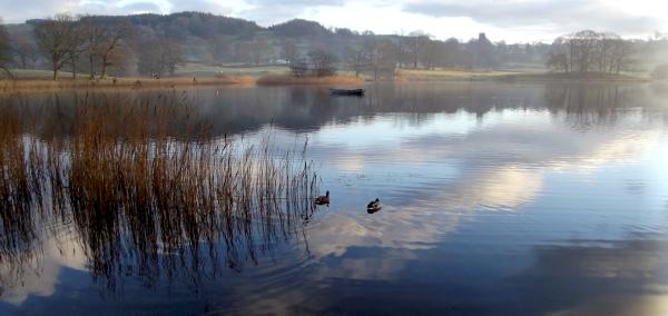 Time For Reflection