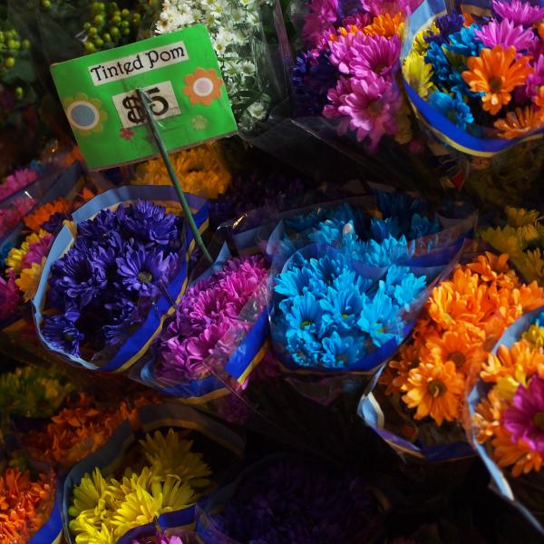 Tinted flowers at Court Square Plaza
