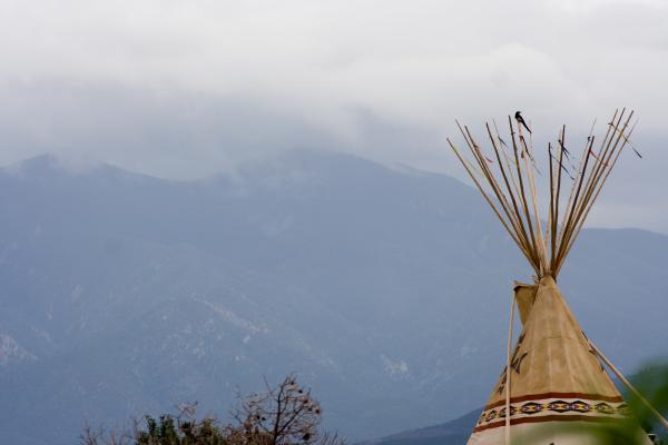 Tipi