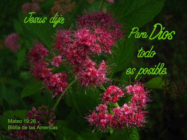 Todo es Posible para Dios