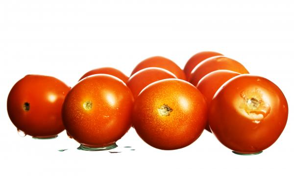 Tomato