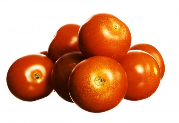 Tomato