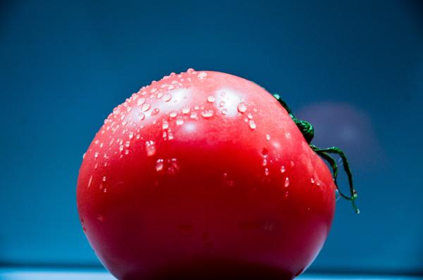 Tomato