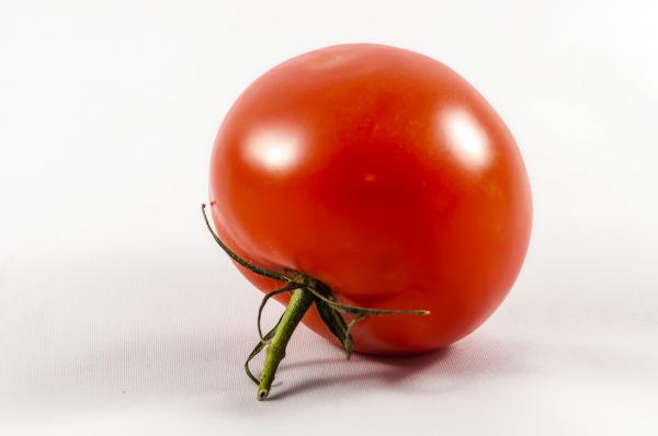 Tomato