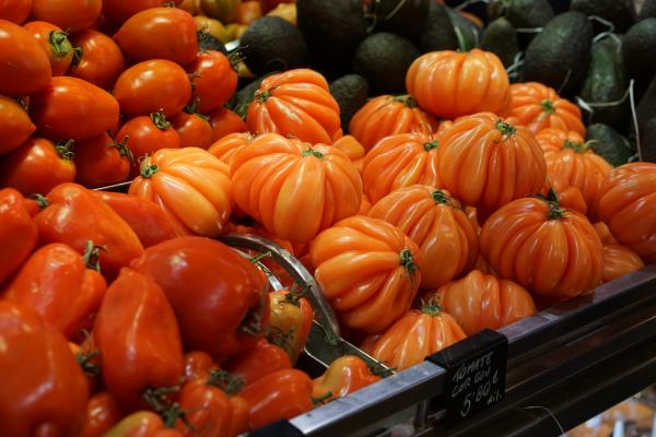 Tomato Bunches