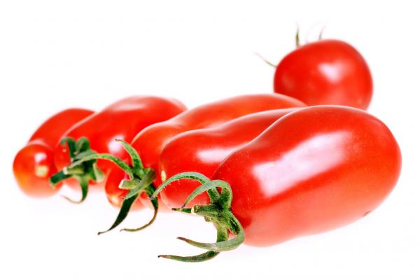 Tomatoes