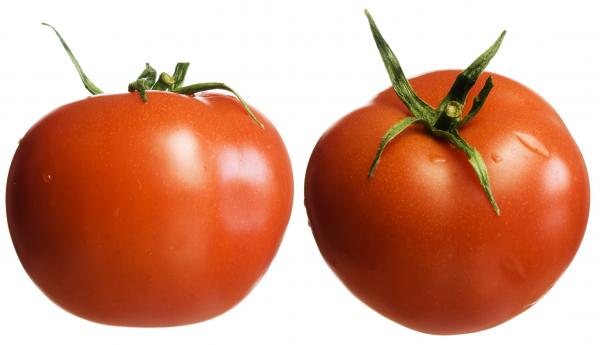 Tomatoes